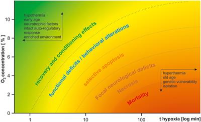 Perinatal Hypoxia and Ischemia in Animal Models of Schizophrenia